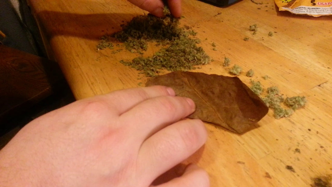 Backwoods 101: The Best Tips from Experts